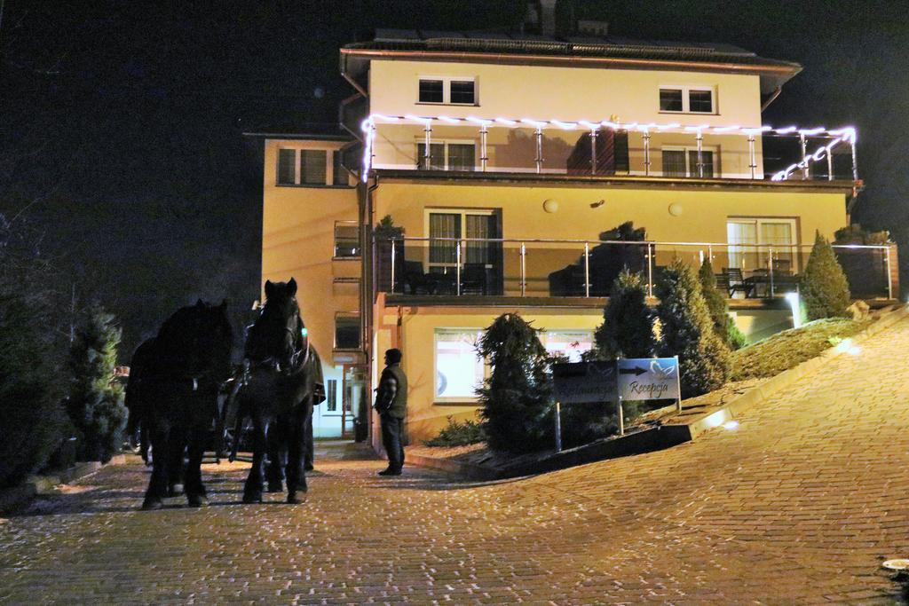 Hôtel Willa Pod Skrzydlami à Międzybrodzie Bialskie Extérieur photo